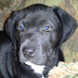 Meet your Posher, Keith